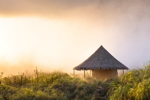 Australia wild, hut, morning, (masterpiece, best quality, likelife, naturalistic)