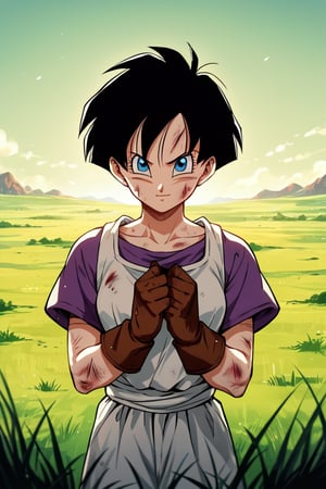 Videl, 1girl, blue eyes, shadows, blue eyes, short hair, masterpiece, best quality,  absurdres, perfect lighting, score_9, score_8_up, score_7_up source_anime, gloves, field, scratches, light smile,