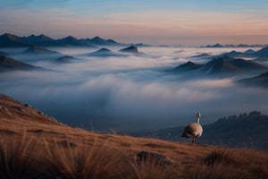 an Gooses from behind on a mountain peak at sunrise | Minimalist | soft blue pastels | peaceful, awe-inspiring | thin mist, lifelike details ,Masterpiece