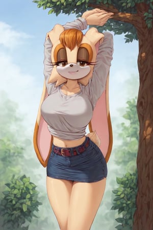 score_9, score_8_up, score_7_up, score_6_up, score_5_up, score_4_up, (Source sonic), (rating safe), vanilla the rabbit, 1girl, solo, outside, wearing black jeans, silver shirt, jacket, large breasts, brown eyes, looking at viewer, standing, outside, trees, fall weather,  , wide hips, rabbit girl, short hair, body fur, hands on hips, anime style,flashing belly,cammystretch, stretching,leaning forward,arms up,stomach_punch,skirt,belt