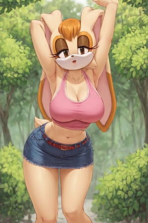 score_9, score_8_up, score_7_up, score_6_up, score_5_up, score_4_up, (Source sonic), (rating safe), vanilla the rabbit, 1girl, solo, outside, wearing black jeans, pink shirt, jacket, large breasts, brown eyes, looking at viewer, standing, outside, trees, fall weather,  , wide hips, rabbit girl, short hair, body fur, hands on hips, anime style,flashing belly,cammystretch, stretching,leaning forward,arms up,stomach_punch,skirt,belt