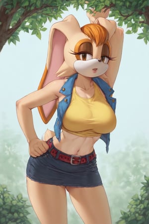 score_9, score_8_up, score_7_up, score_6_up, score_5_up, score_4_up, (Source sonic), (rating safe), vanilla the rabbit, 1girl, solo, outside, wearing black jeans, yellow shirt, jacket, large breasts, brown eyes, looking at viewer, standing, outside, trees, fall weather,  , wide hips, rabbit girl, short hair, body fur, hands on hips, anime style,flashing belly,cammystretch, stretching,leaning forward,arms up,stomach_punch,skirt,belt