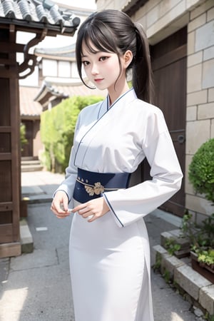 pony_tail,Korean_traditional_dress, paper_scroll
