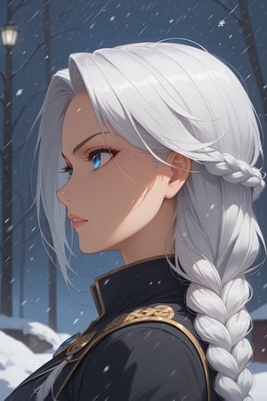 score_9, score_8_up, score_7_up, source_anime BREAK, 1girl, left side view, more detail XL, braided hair, white hair, blue eyes, detailed eyes, snowing, close up, serious 