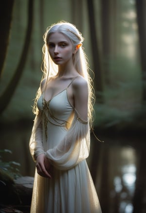 A lone elf maiden stands tall, her porcelain complexion glowing in the soft, golden light of a mystical forest glade. Her platinum locks cascade down her back like a river of moonlight, framing her heart-shaped face and prominent brown eyes that seem to bore into the soul. Delicate freckles dance across the bridge of her nose as she fixes the viewer with a resolute gaze, her determination palpable beneath the flowing bell sleeves of her diaphanous gown.