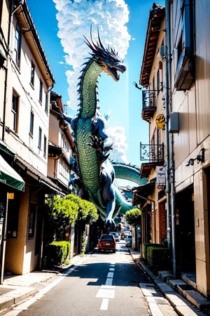 dragon,street scenery