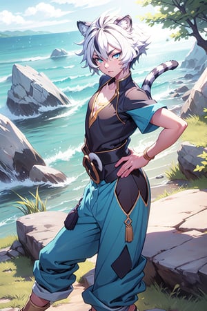 best quality, masterpiece, highres, detailed, digital illustration, , FohlFayon, tiger boy, tiger tail, two-toned hair, white hair, black hair, tiger ears, jojo pose, , short hair, blue eyes, blue pants, blue shirt, ocean, cliffs, grass,FohlFayon, (Boy),ANIME 