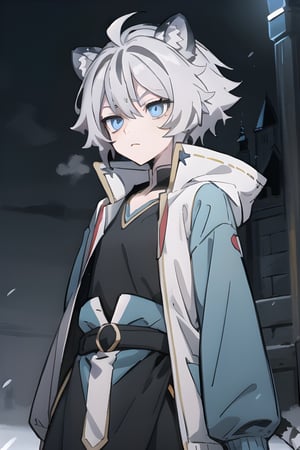 digital illustration, Fohl Fayon, tiger child, tiger tail, two-tone hair, white hair, black hair, tiger ears, hair, blue eyes, light blue and black cold weather jacket with tired expression ( Inside a Black Dark Castle ) (Arms folded), (Boy)