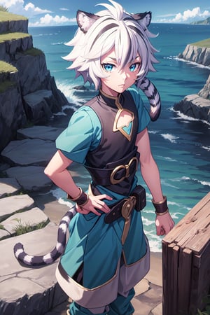 best quality, masterpiece, highres, detailed, digital illustration, , FohlFayon, tiger boy, tiger tail, two-toned hair, white hair, black hair, tiger ears, jojo pose, , short hair, blue eyes, blue pants, blue shirt, ocean, cliffs, grass,FohlFayon, (Boy)