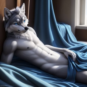anthro, male, wolf, male_only, minor, 10 years old, slim, slim body, shota, shotacon, blue eyes, white mohawk, detailed fur, grey fur, fluff, navel, exposed_navel, grey nipples, male_nipples ,inner ear fluff, neck tuft, chest tuft, hindpaw, tail, hand on crotch, legs slightly spread laying on blue silk, top view, detailed background, realistic, photorealistic, ultra realistic, realistic, Full body, every detail of this beautiful, insanely detailed, detailed background,  ,beautiful, detailed intricate, ultra realistic.