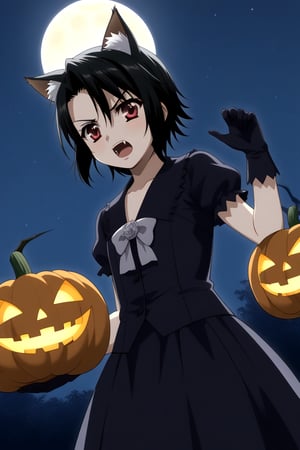 HD, 8k, highres, mantialiasing, Highly detailed, High Quality, masterpiece, beautiful, source_anime,
BREAK pumpkin patch, night, dark environment, moonlit sky, flying bats, halloween magic, starry night,  jack-o’-lanterns,
BREAK 1girl, solo, (madure woman, 30 years old), Mai Kiyoura, short hair, black hair, red eyes, flat chest,
BREAK werewolf, furry, fangs, animal ears, gloves, angry, teeth, animal ear fluff, open mouth, cowboy shot, dutch_angle