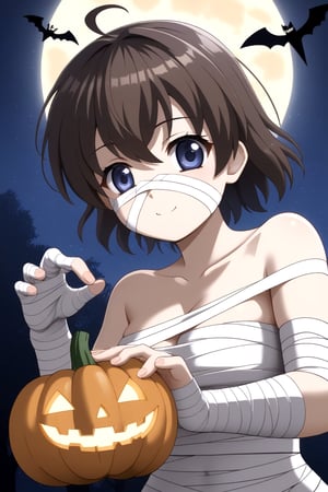 HD, 8k, highres, mantialiasing, Highly detailed, High Quality, masterpiece, beautiful, source_anime,
BREAK pumpkin patch, night, dark environment, moonlit sky, flying bats, halloween magic, starry night,  jack-o’-lanterns,
BREAK 1Girl, young woman, 16 years old, Sekai Saionji, dark brown hair, blue eyes, ahoge, short hair, 
BREAK mummy costume, bandages, halloween costume, bandaged arm, zombie pose, bandage on face,