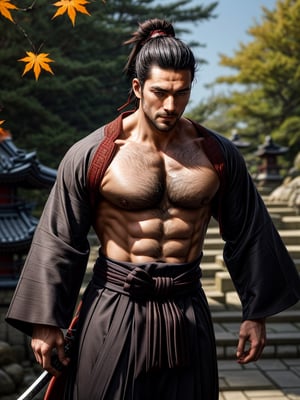 1man, samurai, handsome, protruding pecs, stubbles, japanese samurai clothing, black_hair, (brown eyes), Hair tied back, few locks of hair hang down on the forehead, katana at waist, maple leaf scattered in the air, wind, dynamic angle, Masterpiece,  Intricate details,  hdr,  depth of field,  (full body view),  Portrait, open cloth, take off top cloth to waist, show chest, show abs, body hair, hairy chest,best quality