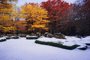 ((autumn, snowing)) dim light, muted color, Dutch angle, (ultra detailed background of a completely white, ancient Japanese buildings), harmonious composition, epic art work, extremely long shot, view, landscape,