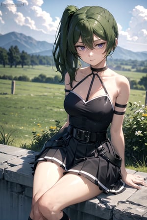 outdoor
//Quality,
masterpiece, best quality
,//Character,
1girl, solo
,//Fashion,
ubel,long hair,side ponytail,hair between eyes,bangs,black choker,bare shoulders,cleavage,halterneck,black dress,sleeveless,arm strap,single glove,belt,black skirt,buckle,black belt,thigh strap,knee boots,black footwear,masterpiece, best quality, field,Very reluctant expression,despise,angry,