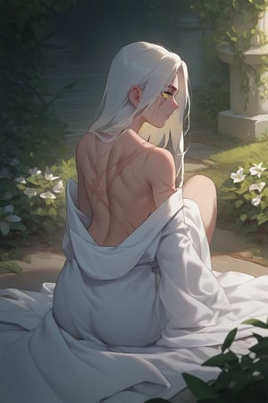 score_9, score_8_up, score_7_up, slender lady with a ethereal beauty, golden white hair, long hair, bright yellow eyes, scarred back, small feathers on ground, sitting in garden, back to viewer, large scars on back, scars, wearing loose robe, fallen angel,