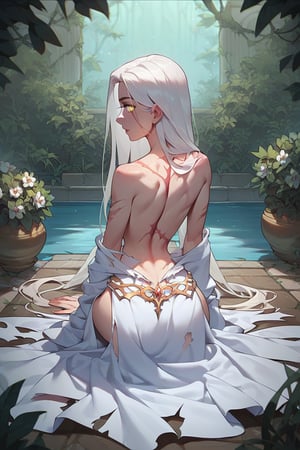 score_9, score_8_up, score_7_up, slender lady with a ethereal beauty, golden white hair, long hair, bright yellow eyes, scarred back, small feathers on ground, sitting in garden, back to viewer, wings ripped out of her back, wearing robes, bleeding back, 