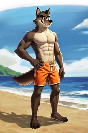 wolf, yellow sclera, topless, orange swimming trunks, four fingers, four toes, full body, standing, tail, anthro, male, barefoot, mr. wolf, the bad guys, solo, beach