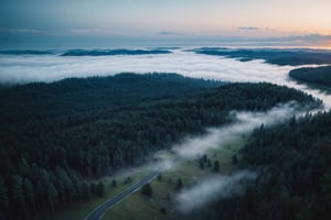 View from drone, pine forest, foggy, misty, windy, blue hour, cinematic, masterpiece, best quality, high resolution