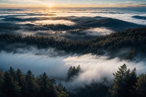 Bird eye level shot, pine forest, foggy, misty, windy, blue hour, cinematic, masterpiece, best quality, high resolution