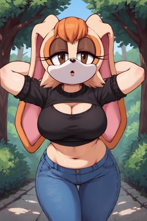 score_9, score_8_up, score_7_up, score_6_up, score_5_up, score_4_up, (Source sonic), (rating safe), vanilla the rabbit, 1girl, solo, outside, wearing blue jeans, black sweater, shirt cutout, large breasts, brown eyes, looking at viewer, standing, outside, trees, fall weather,  , wide hips, rabbit girl, short hair, body fur, dynamic pose, anime style,flashing belly,stomach_punch,cammystretch, stretching,leaning forward,arms up, RakkunVTSDXL