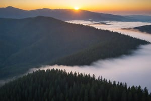 score_9, score_8_up, score_7_up, Generate an image of the most serene morning overlooking a desolate forest from above. Tree covered mountains can be seen in the background, small traces of fog. A yellow glow of the sun rising is cast upon the image, symbolic of another day ready to begin.