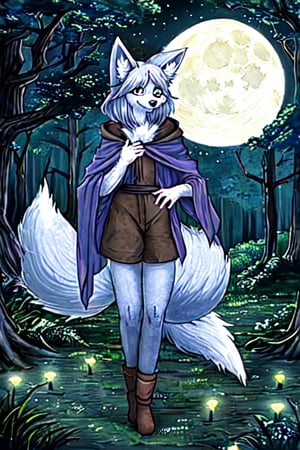 night moonlight forest Personification furry fox wizard