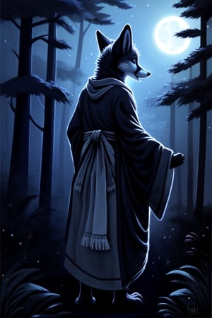 night moonlight forest Personification furry Therianthropy fox wizard painting dark tones magic robe