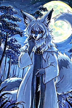 night moonlight forest Personification furry Therianthropy fox wizard