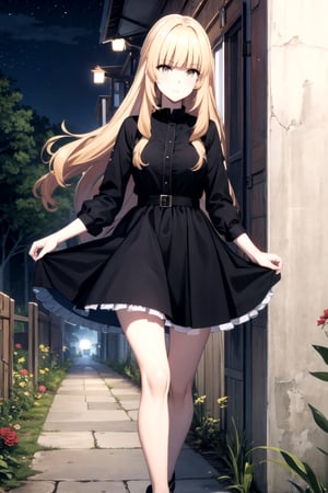 //Quality,
masterpiece, best quality
,//Character,
1girl, solo
,//Fashion,
,//Background,
night, black Rose garden
,//Others,
,rose, blonde hair, dress