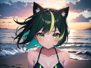 (best quality, 4k, 8k, highres, masterpiece:1.2), ultra-detailed, glowy ,4k,extremely delicate and beautiful art 2girl, epic background, 1girl, solo,short hair, (black green hair), ((split-color hair)), cat ears, bow, bikini, dark green eyes color, low glowing eyes, beach