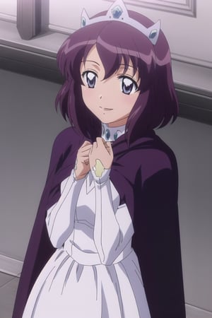 1girl, solo, henrietta de tristain, white_dress, crown, purple_clothing, cloak, standing,  smile, anime_screencap