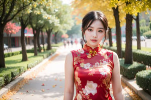 21 years old Chinese girl, sexy Cheongsam, outdoor, autumn, bokeh