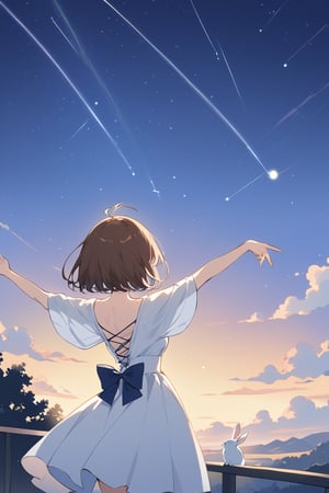 Masterpiece, best quality, beautiful feeling,
one girl, short hair, brown hair, dress, bow, standing, flower, outdoors, sky, from behind, star \(symbol\), white dress, arms up, night, antenna hair, outstretched arms, star \(sky\), night sky, starry sky, rabbit, back bow, shooting star, constellation,flat style