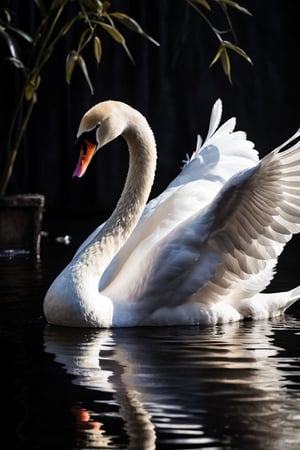 award-winning photography of a ral-smlvltnpls swan with graceful elegance, glowing, whimsical, enchanted, magical, fantasy art concept, intricate details, masterpiece, best quality, realism, hyper realistic, black vibe