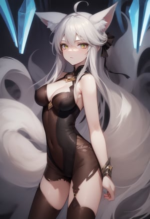 injured woman ,torn_clothes,dirty,nine tails,fox ears, silver hair,crystal and silver entanglement