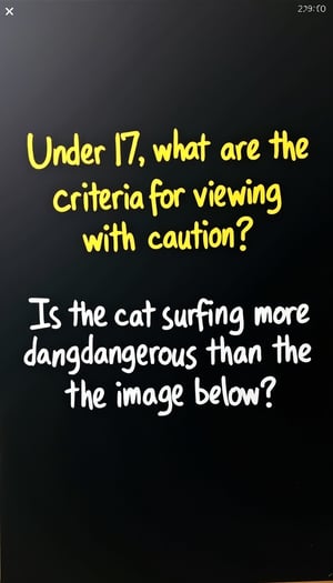 The sign is a solid matte black color and has words written on it. The words are written in yellow capital letters slightly above the center of the screen and ask, "Under 17, what are the criteria for viewing with caution?". Further below, in bold white letters, it says, ``↓ Is the cat surfing more dangerous than the image below? www.'' The signboard is a simple one-color black, and the contrast of each letter stands out clearly.