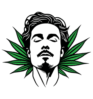 Male stunning face, marijuana leaves, minimalistic, black ink, calligraphic lines,vector art illustration