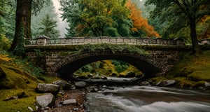 Forest, beautiful forest, rain, grass, rocks, cliffs, stone road, stone arch bridge with sculptures, epic movie style, masterpiece, perfect quality, exquisite details, real, clear, sharp, detailed, professional photos. (((Compare))), 8k, Ultra HD quality, cinematic look, cool colors,