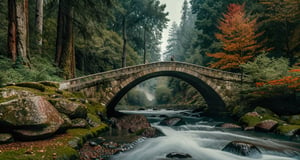 Forest, beautiful forest, rain, grass, rocks, cliffs, stone road, stone arch bridge with sculptures, epic movie style, masterpiece, perfect quality, exquisite details, real, clear, sharp, detailed, professional photos. (((Compare))), 8k, Ultra HD quality, cinematic look, cool colors,