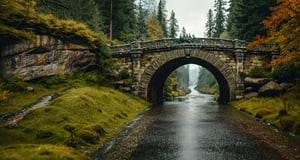 Forest, beautiful forest, rain, grass, rocks, cliffs, stone road, stone arch bridge with sculptures, epic movie style, masterpiece, perfect quality, exquisite details, real, clear, sharp, detailed, professional photos. (((Compare))), 8k, Ultra HD quality, cinematic look, cool colors,