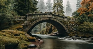 Forest, beautiful forest, rain, grass, rocks, cliffs, stone arch bridge with sculptures, beautiful stone bridge, epic movie style, masterpiece, perfect quality, exquisite details, real, clear, sharp, detailed, professional photos. (((comparison))), 8k, Ultra HD quality, cinematic look, cool tones,