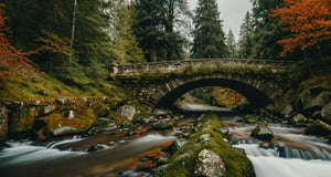 Forest, beautiful forest, rain, grass, rocks, cliffs, stone road, stone arch bridge, epic movie style, masterpiece, perfect quality, exquisite details, real, clear, sharp, detailed, professional photos. (((Compare))), 8k, Ultra HD quality, cinematic look, cool colors,