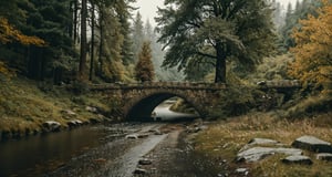 Forest, beautiful forest, rain, grass, rocks, cliffs, stone road, stone arch bridge, epic movie style, masterpiece, perfect quality, exquisite details, real, clear, sharp, detailed, professional photos. (((Compare))), 8k, Ultra HD quality, cinematic look, cool colors,