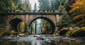 Forest, beautiful forest, rain, grass, rocks, cliffs, stone arch bridge with sculptures, beautiful stone bridge, epic movie style, masterpiece, perfect quality, exquisite details, real, clear, sharp, detailed, professional photos. (((comparison))), 8k, Ultra HD quality, cinematic look, cool tones,