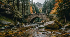 Forest, beautiful forest, rain, grass, rocks, cliffs, stone arch bridge with sculptures, beautiful stone bridge, epic movie style, masterpiece, perfect quality, exquisite details, real, clear, sharp, detailed, professional photos. (((comparison))), 8k, Ultra HD quality, cinematic look, cool tones,