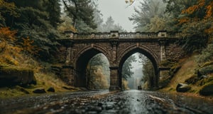 Forest, beautiful forest, rain, grass, rocks, cliffs, stone road, stone arch bridge with sculptures, epic movie style, masterpiece, perfect quality, exquisite details, real, clear, sharp, detailed, professional photos. (((Compare))), 8k, Ultra HD quality, cinematic look, cool colors,