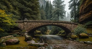 Forest, beautiful forest, rain, grass, rocks, cliffs, stone road, stone arch bridge with sculptures, epic movie style, masterpiece, perfect quality, exquisite details, real, clear, sharp, detailed, professional photos. (((Compare))), 8k, Ultra HD quality, cinematic look, cool colors,