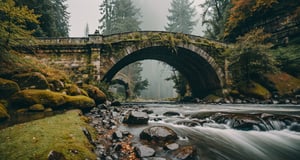 Forest, beautiful forest, rain, grass, rocks, cliffs, stone arch bridge with sculptures, beautiful stone bridge, epic movie style, masterpiece, perfect quality, exquisite details, real, clear, sharp, detailed, professional photos. (((comparison))), 8k, Ultra HD quality, cinematic look, cool tones,