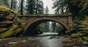 Forest, beautiful forest, rain, grass, rocks, cliffs, stone arch bridge with sculptures, epic movie style, masterpiece, perfect quality, exquisite details, real, clear, sharp, detailed, professional photos. (((comparison))), 8k, Ultra HD quality, cinematic look, cool tones,